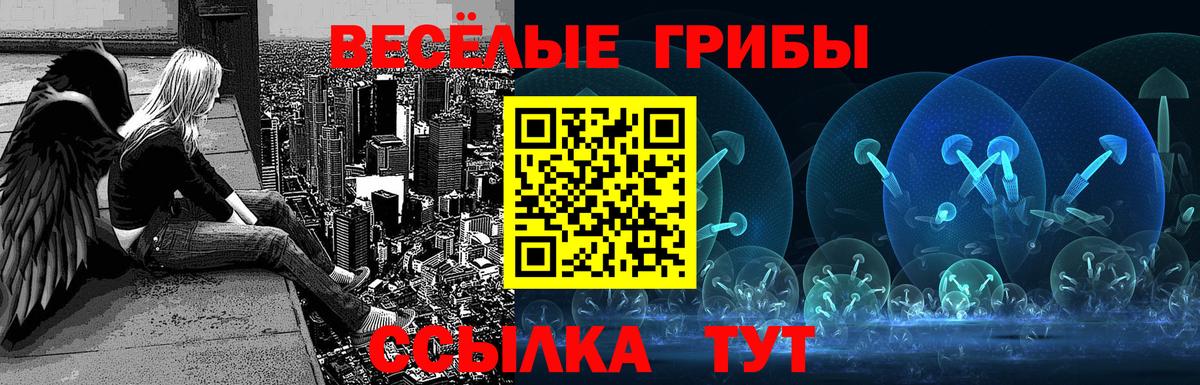 Псилоцибиновые грибы Psilocybe Добрянка