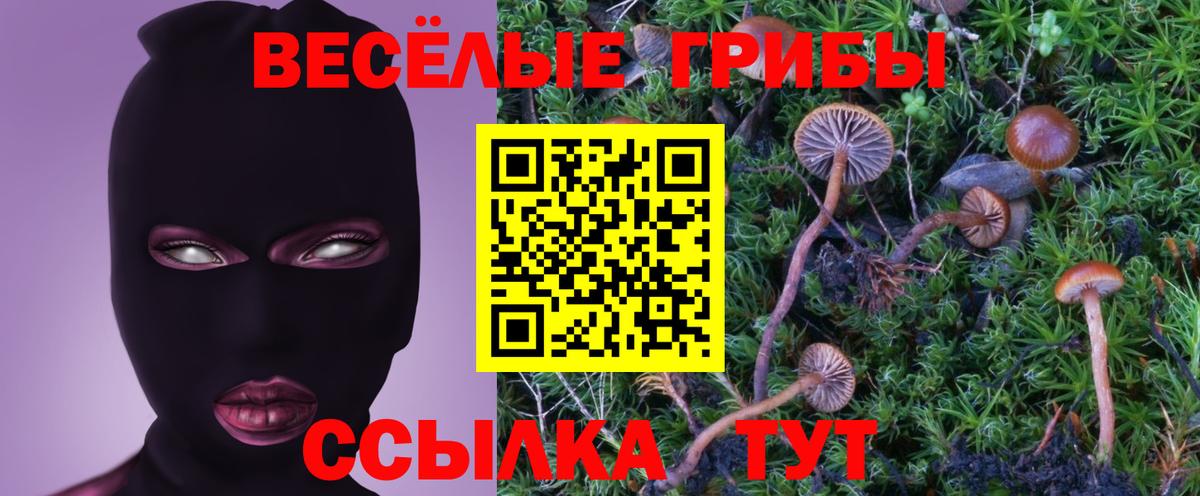 Псилоцибиновые грибы MAGIC MUSHROOMS  Вход с VPN  Добрянка 