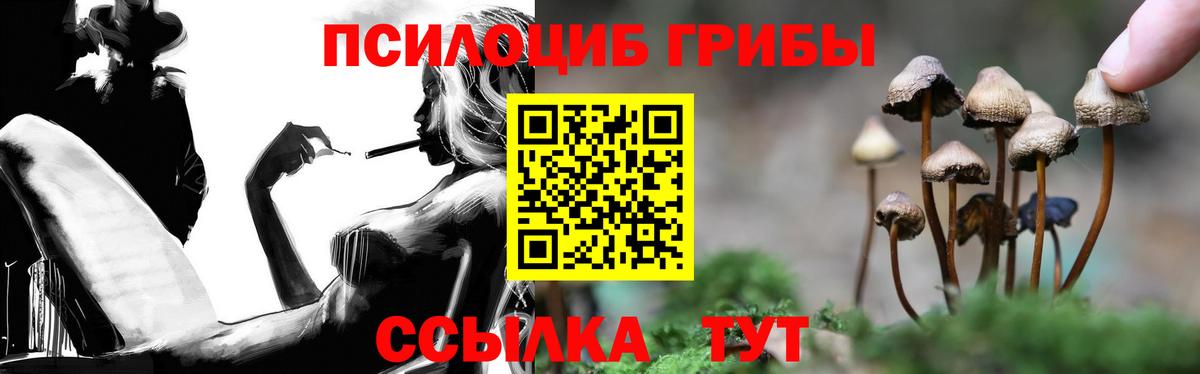 Галлюциногенные грибы Psilocybe  Добрянка  цены наркотик  Галлюциногенные грибы мицелий 