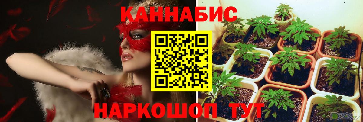 Марихуана тримм  Марихуана AK-47  Добрянка  Вход с VPN  Бошки марихуана AK-47 